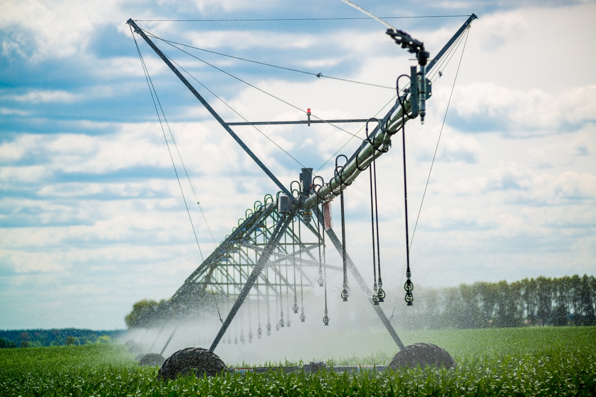 Watering system in the field. An irrigation pivot watering a field